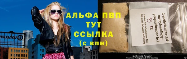 ECSTASY Гусь-Хрустальный