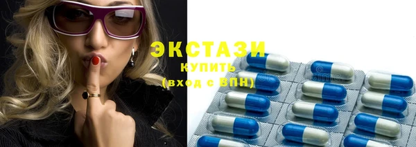 индика Горнозаводск