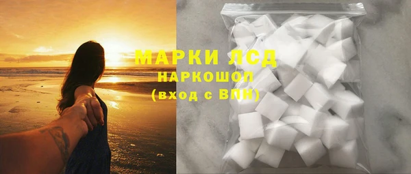 ПСИЛОЦИБИНОВЫЕ ГРИБЫ Горно-Алтайск