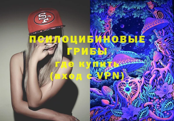 ECSTASY Гусь-Хрустальный