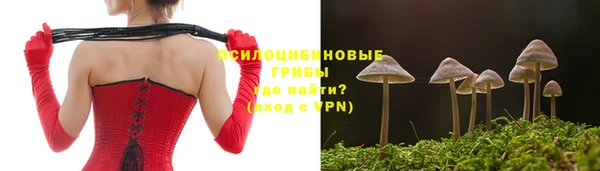 кокс Гусев