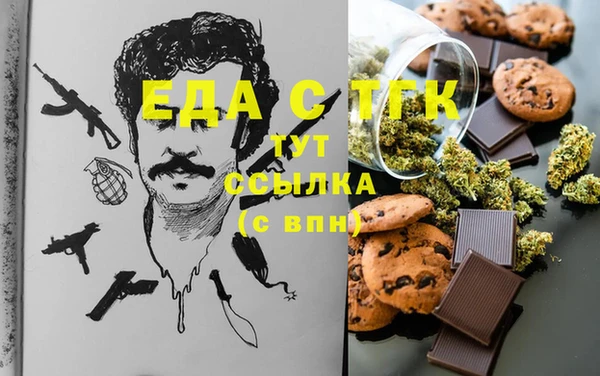 индика Горнозаводск