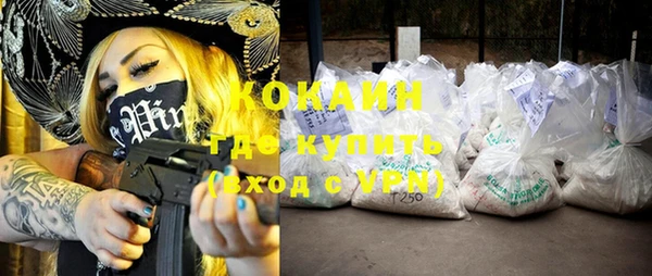 ПСИЛОЦИБИНОВЫЕ ГРИБЫ Горно-Алтайск