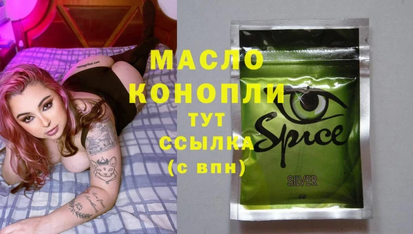 индика Горнозаводск