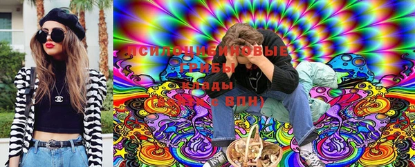 кокс Гусев