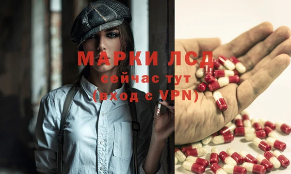 индика Горнозаводск