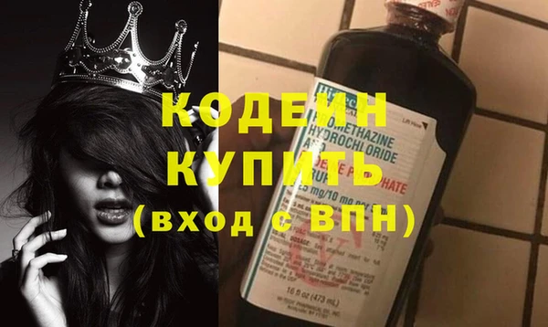 индика Горнозаводск