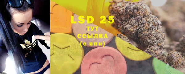 ECSTASY Гусь-Хрустальный