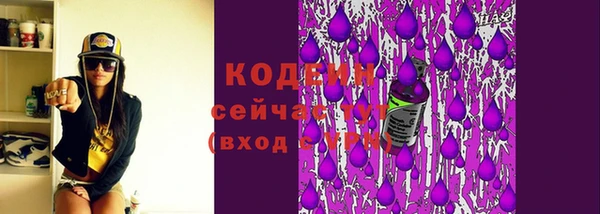 ПСИЛОЦИБИНОВЫЕ ГРИБЫ Горно-Алтайск