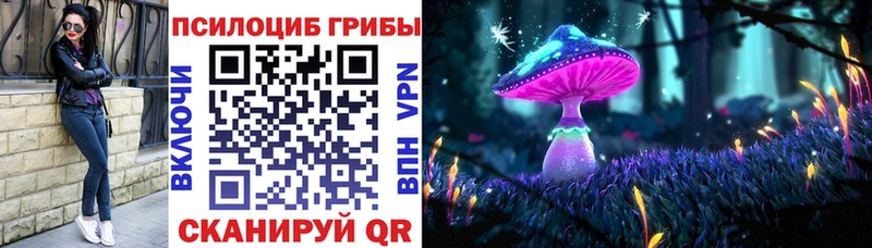 Псилоцибиновые грибы Psilocybine cubensis  Купить  Железногорск-Илимский 