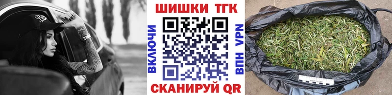 Купить закладки  Железногорск-Илимский  Конопля семена 